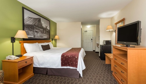 Room, 1 King Bed, Accessible, Non Smoking