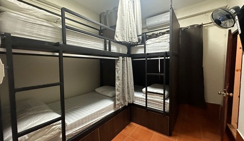 Bed in 14- Bed mixed dormitory room