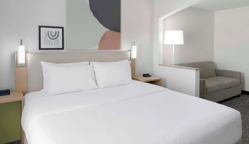 Room, 1 King Bed with Sofa bed