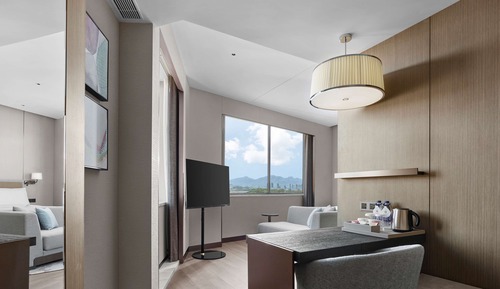Room, 1 King Bed