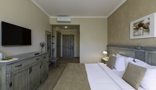 Deluxe Double or Twin Room, Terrace, Garden View