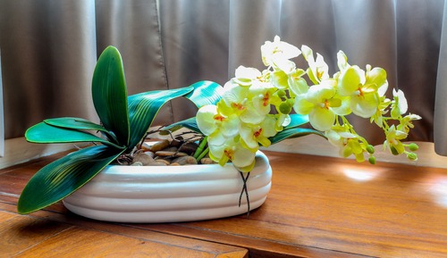 Family Suite, Golf View