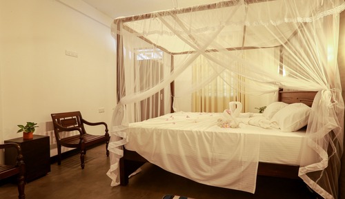 Luxury Room, 1 King Bed, Beachside