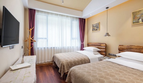 Basic Twin Room