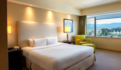 Room, 1 King Bed, Mountain View (Executive Floor)