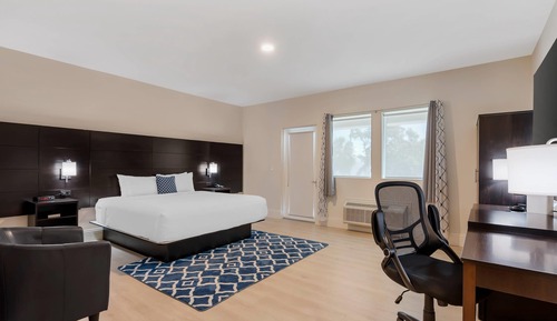 Standard Room, 1 King Bed, Non Smoking, Balcony (Garden Side)