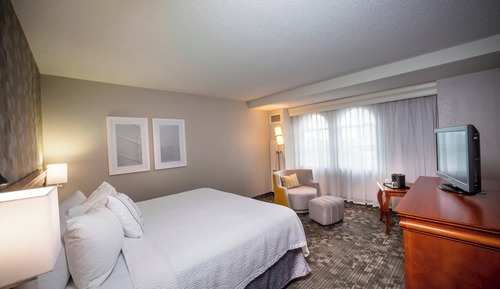 Room, 1 King Bed