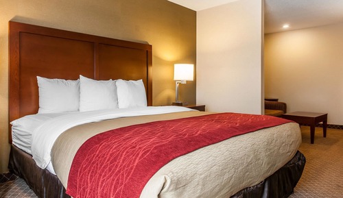 Room, 1 King Bed, Accessible, Non Smoking