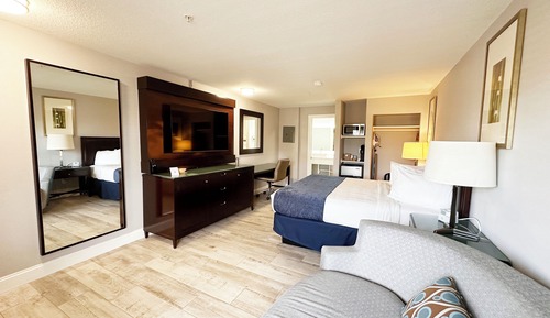 Deluxe Room, 1 King Bed with Sofa bed, Non Smoking, Refrigerator & Microwave (Bathtub)