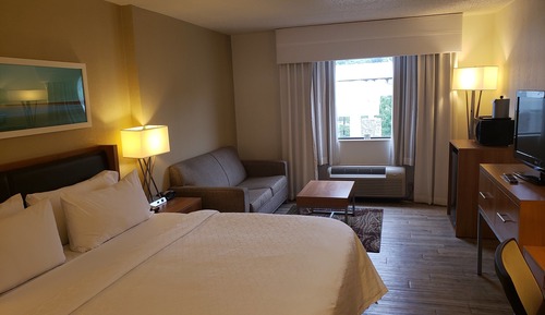 Standard Room, 1 King Bed (LEISURE)