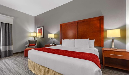 Room, 1 King Bed, Accessible, Non Smoking