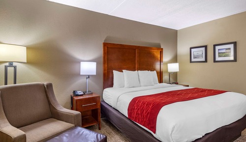 Room, 1 King Bed, Accessible, Non Smoking