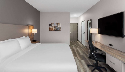 Room, 1 King Bed, Non Smoking