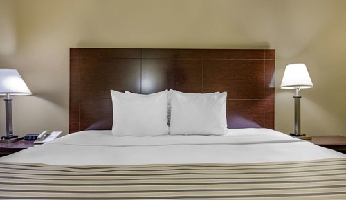 Suite, 1 King Bed with Sofa bed, Non Smoking