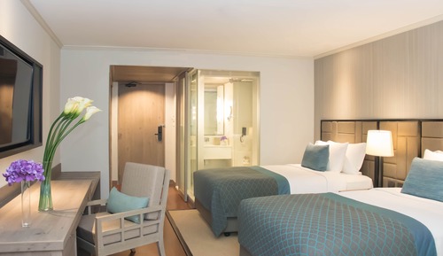 Deluxe Garden Plus Room