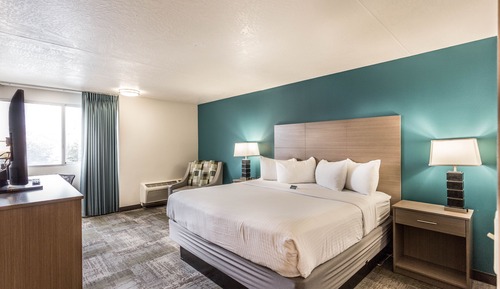 Room, 1 King Bed, Non Smoking, Pool View