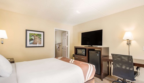 Room, 1 Queen Bed, Accessible, Non Smoking (Roll-In Shower)