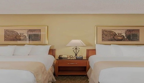 Studio Suite, 2 Double Beds, Kitchen