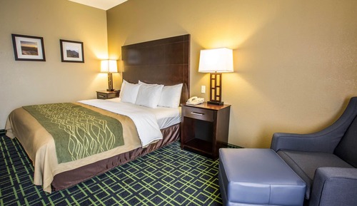 Room, 1 King Bed, Accessible, Non Smoking