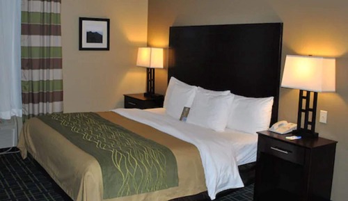 Standard Room, 1 King Bed, Non Smoking