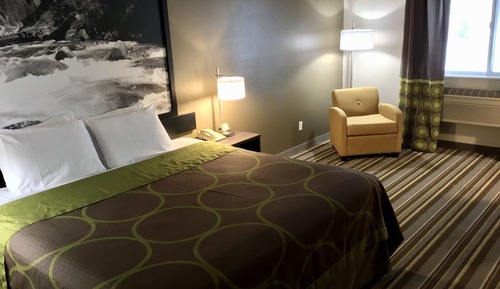 Room, 1 King Bed, Non Smoking