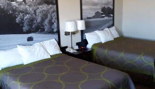 Double Room, 2 Double Beds