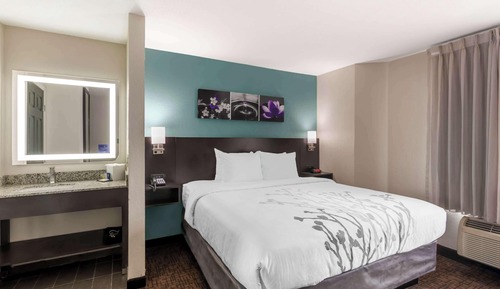 Room, 1 King Bed, Non Smoking