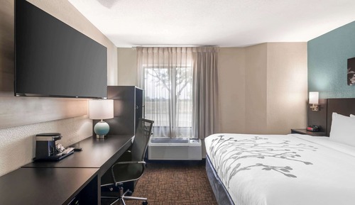 Room, 1 King Bed, Accessible, Non Smoking