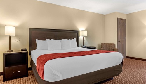 Standard Room, 1 King Bed, Non Smoking