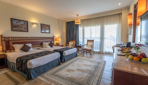Deluxe Nile View Room