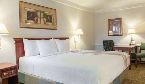 Deluxe Room, 1 King Bed, Non Smoking