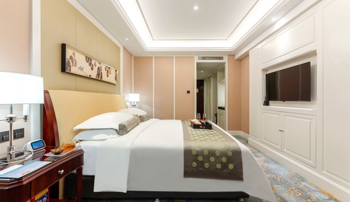 Business Single Room (business twin room)