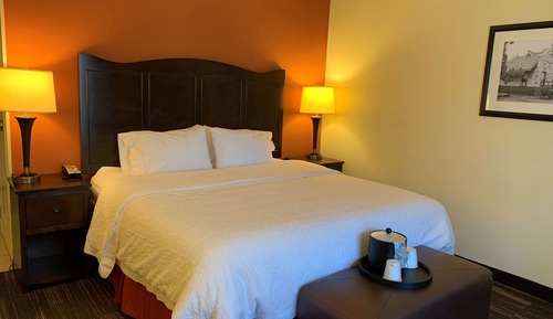 Room, 1 King Bed with Sofa bed, Non Smoking, Refrigerator & Microwave