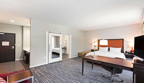 Studio, 1 King Bed, Accessible (Roll-in Shower)