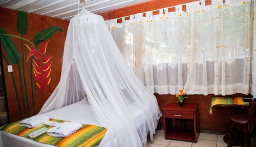 Single Room, Garden View