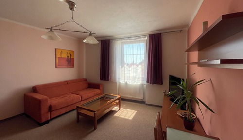 Comfort Apartment, 1 Bedroom, Kitchenette