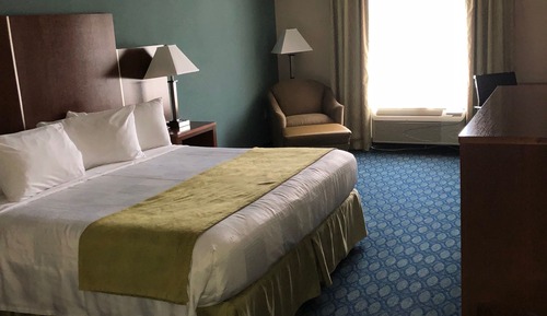 Business Single Room, 1 King Bed