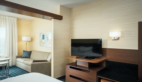 Suite, 1 King Bed with Sofa bed