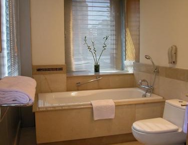 Three-Bedroom Apartment with City View