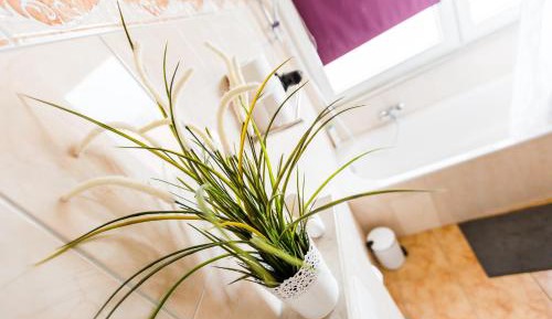 Two-Bedroom Apartment with Balcony