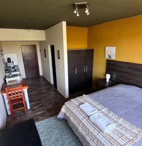 Studio with Lake View