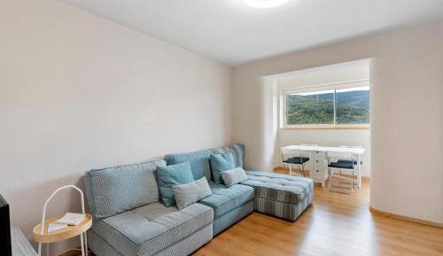 Superior One-Bedroom Apartment