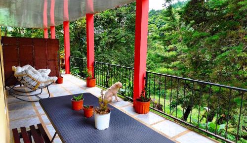 Apartment with Mountain View