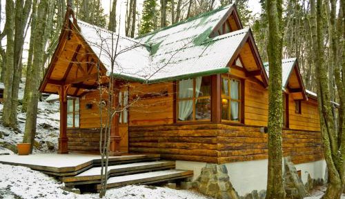 Superior One-Bedroom Bungalow