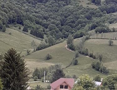 Five-Bedroom House
