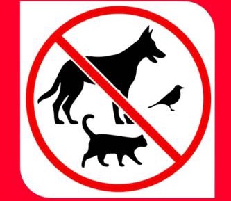 Bungalow with Garden View