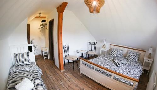 Apartment (3 Adults)