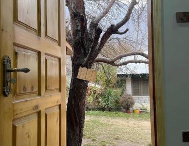 Superior Double or Twin Room with Mountain View