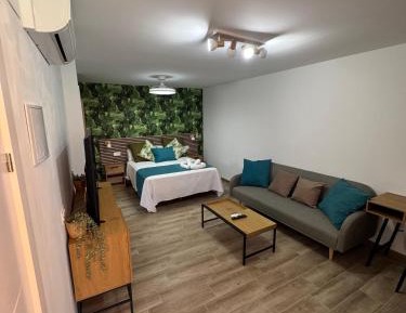 Junior Suite with Terrace