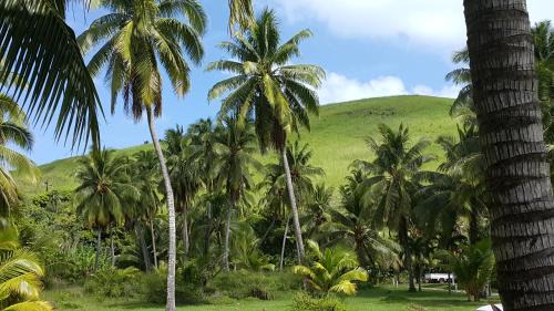 Garden Unit - Triple Room 